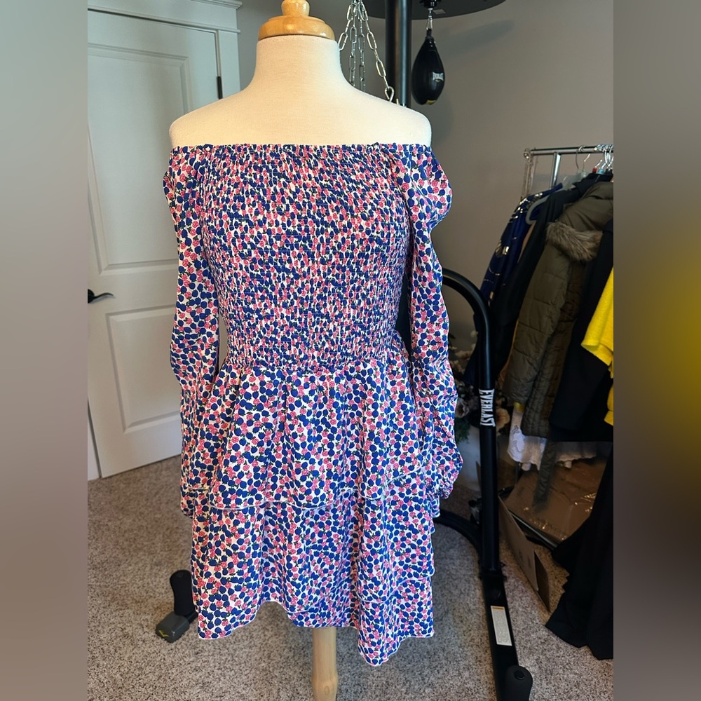 Off-Shoulder, long sleeved  Smocked Floral Print Dress in Blue & Pink Large